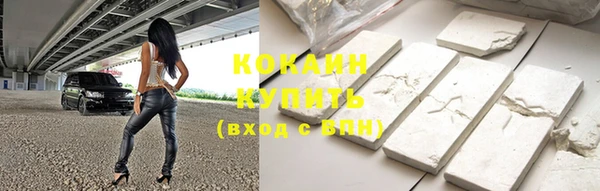 индика Горнозаводск