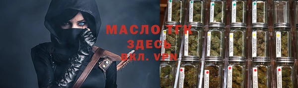 индика Горнозаводск