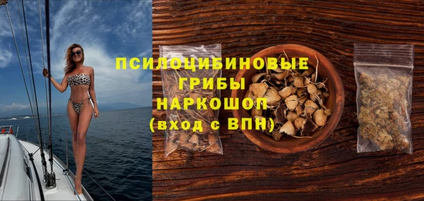 2c-b Горно-Алтайск