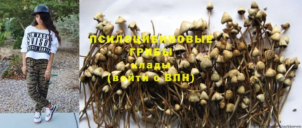 ALPHA PVP Горняк