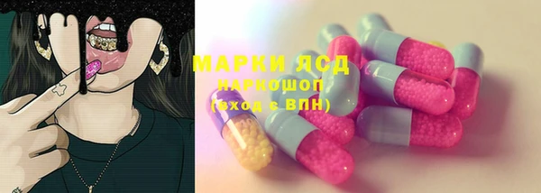 индика Горнозаводск