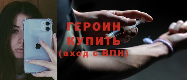 индика Горнозаводск