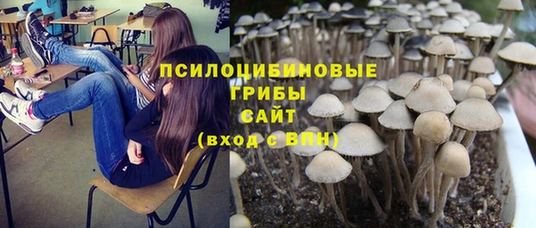 мяу мяу мука Вязьма