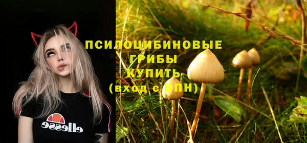 молекула духа Семилуки