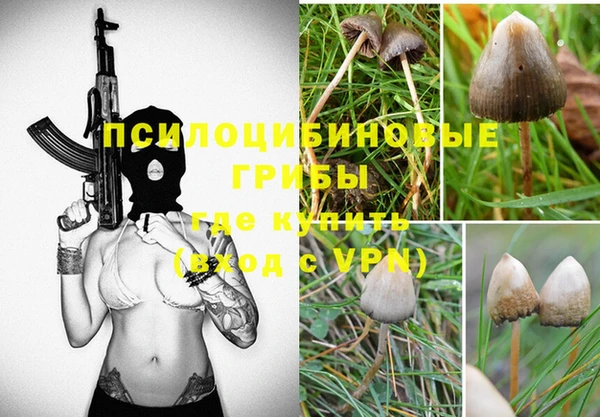 молекула духа Семилуки