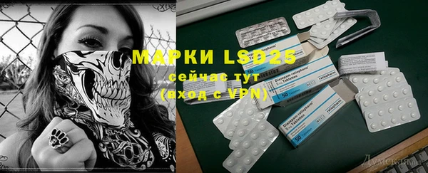 индика Горнозаводск
