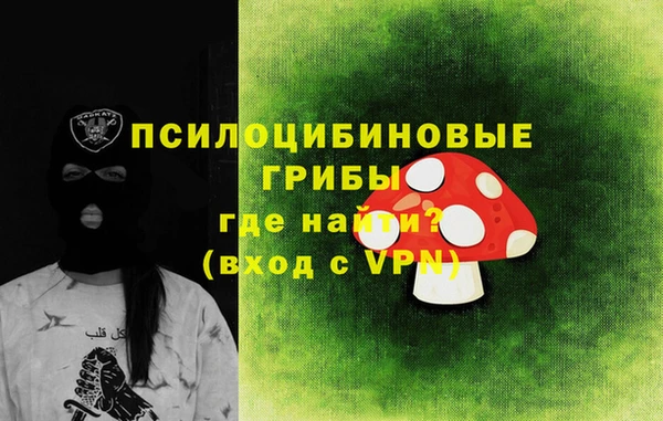 apvp Вязники