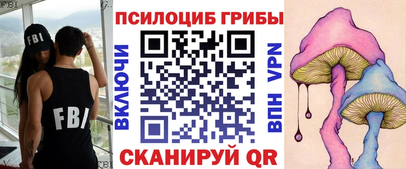 где продают наркотики  кракен зеркало  Галлюциногенные грибы Cubensis  Добрянка 